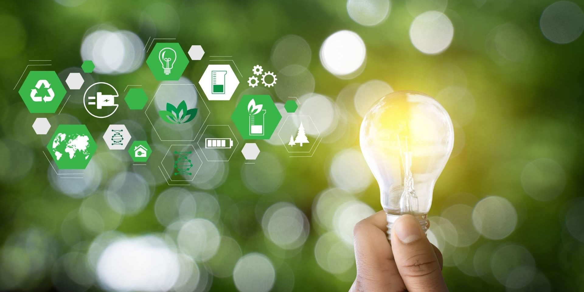 Eine Hand hält eine Glühbirne vor einem grünen Hintergrund, rechts davon sind mehrere kleine Icons rund um das Thema Energie und Nachhaltigkeit zu sehen