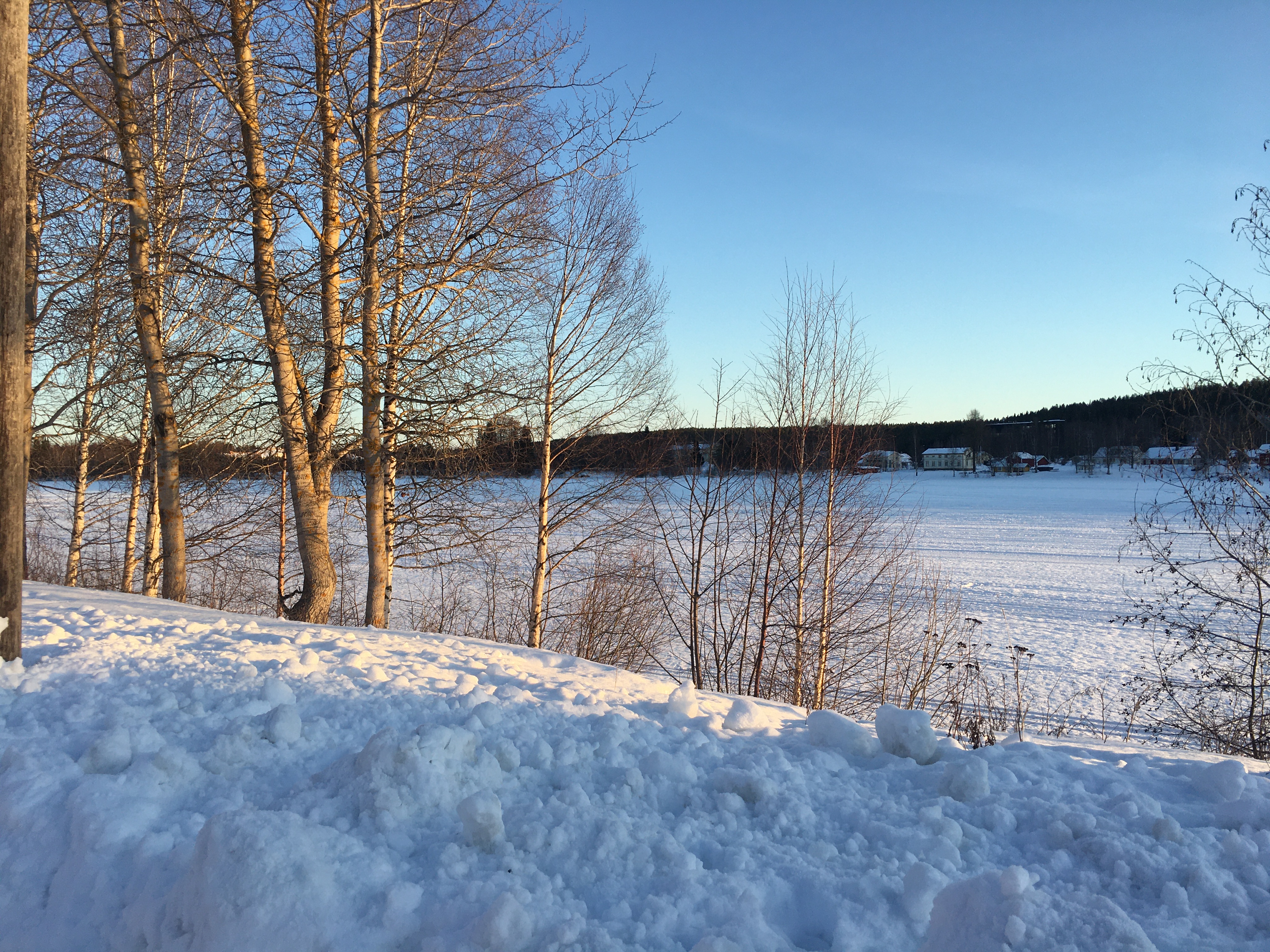 Rovaniemi Reisebericht