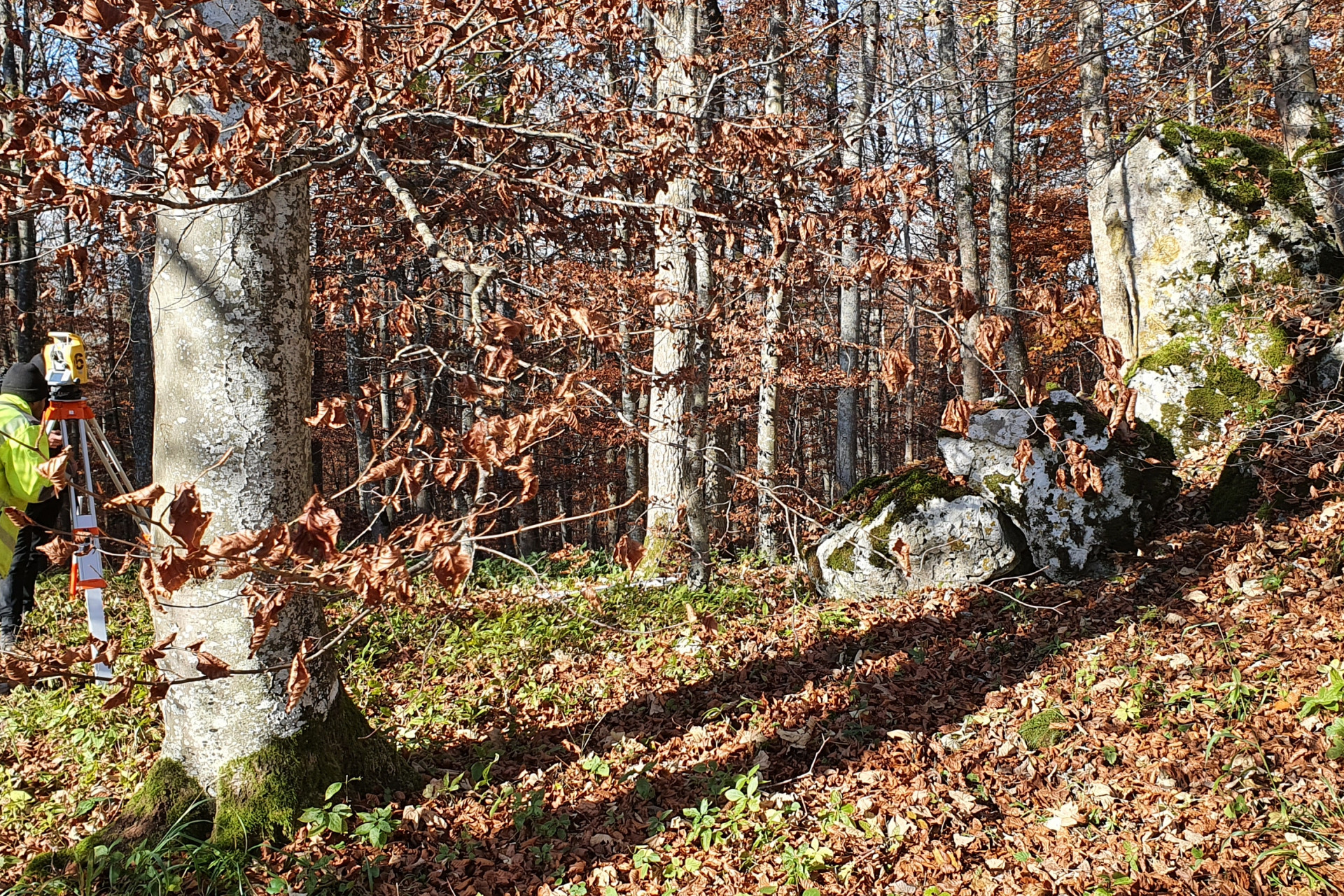 Person vermisst dicht bewachsenen Waldhang mit Mauerüberresten