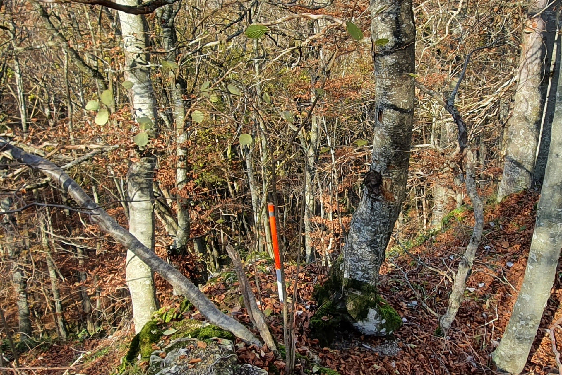Vermessungsarbeiten Burgruine Hohengenkingen