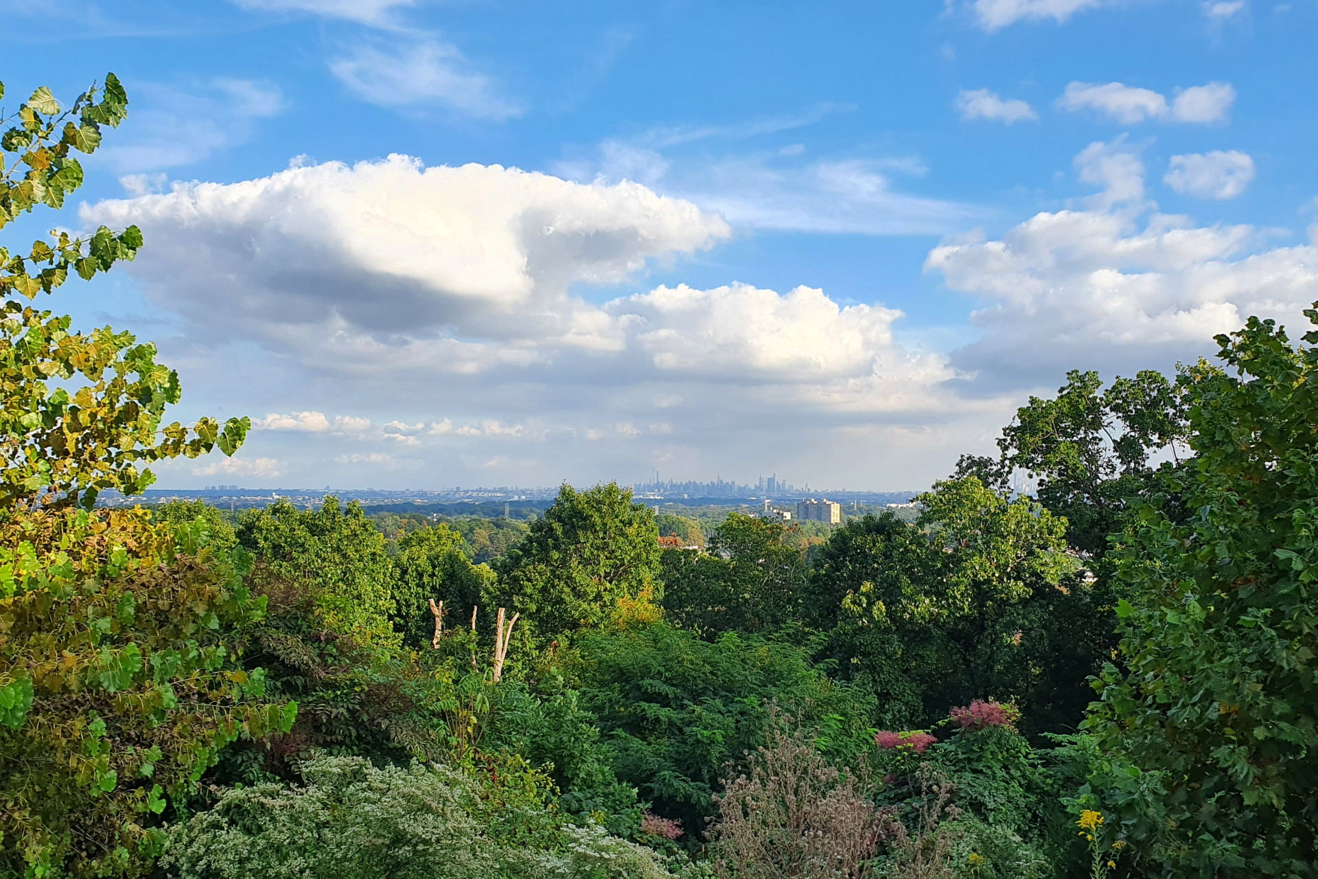Campus Montclair University New Jersey