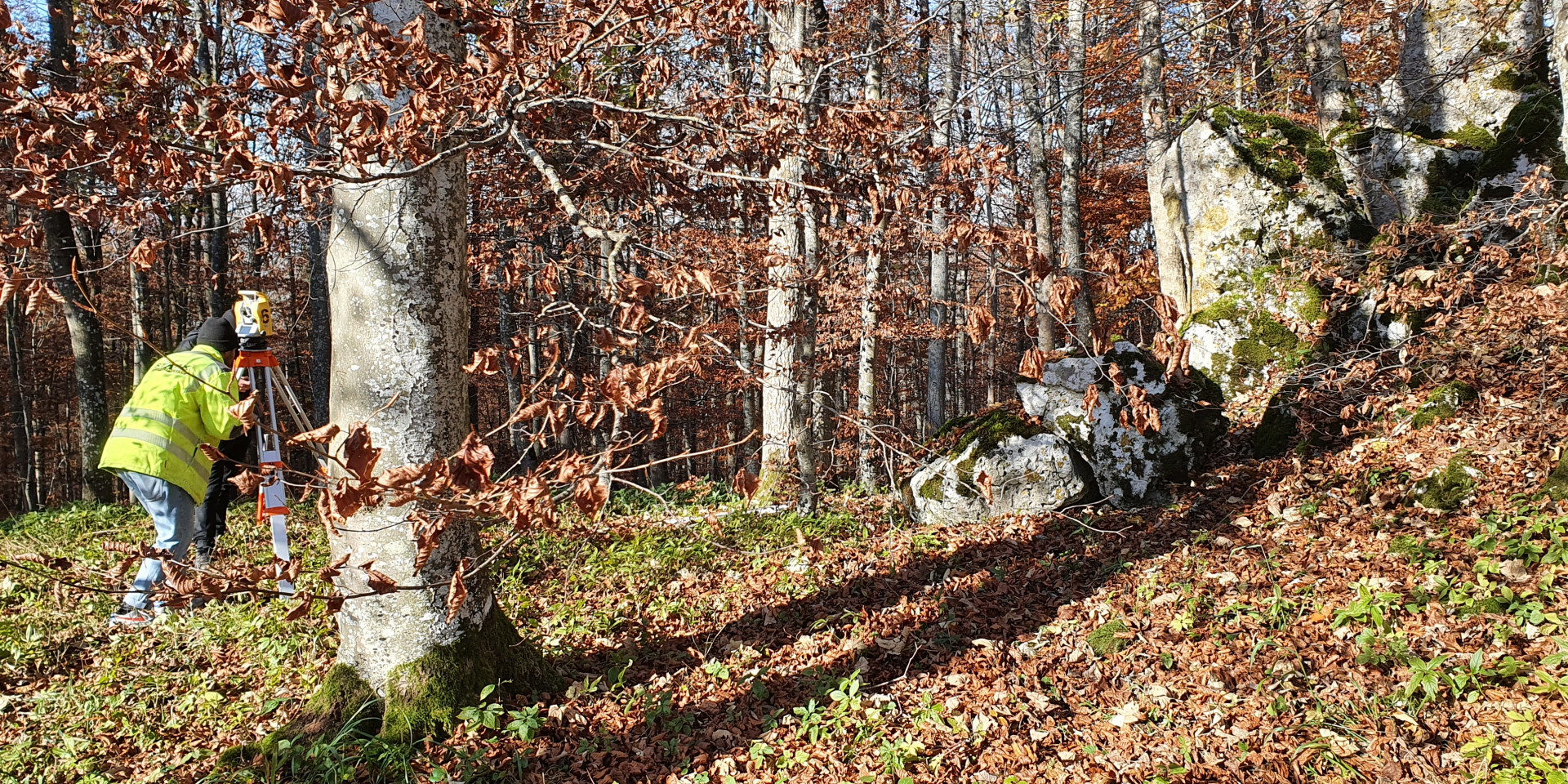 Person vermisst dicht bewachsenen Waldhang mit Mauerüberresten