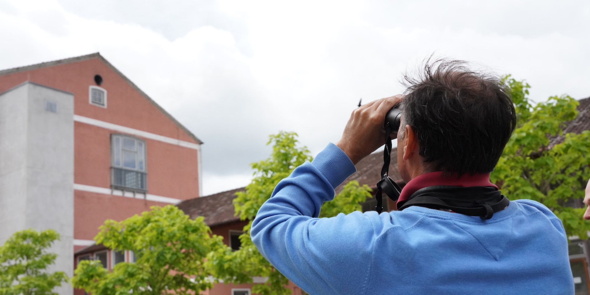 Vögel an der HBC - Luis Ramos