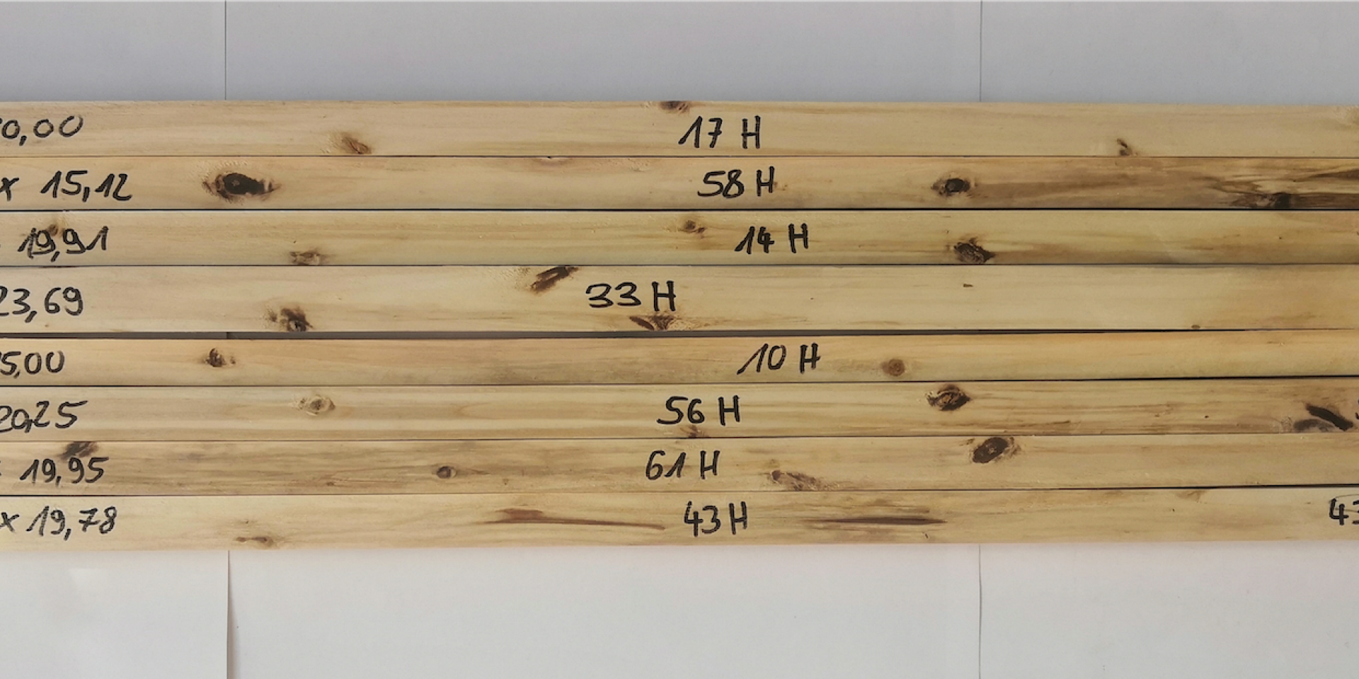 Pappeln aus Plantagen