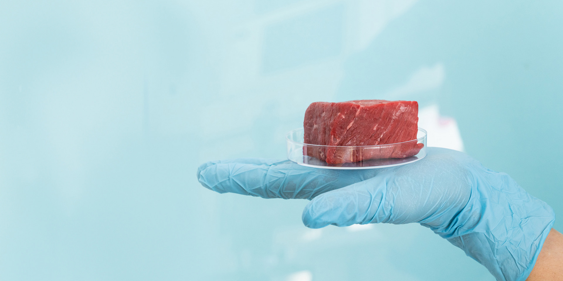 Fleisch aus dem Labor in einer Hand