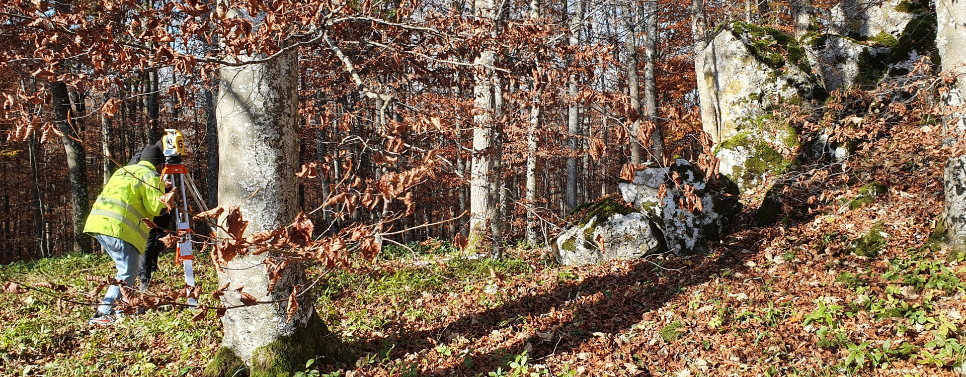 Person vermisst dicht bewachsenen Waldhang mit Mauerüberresten