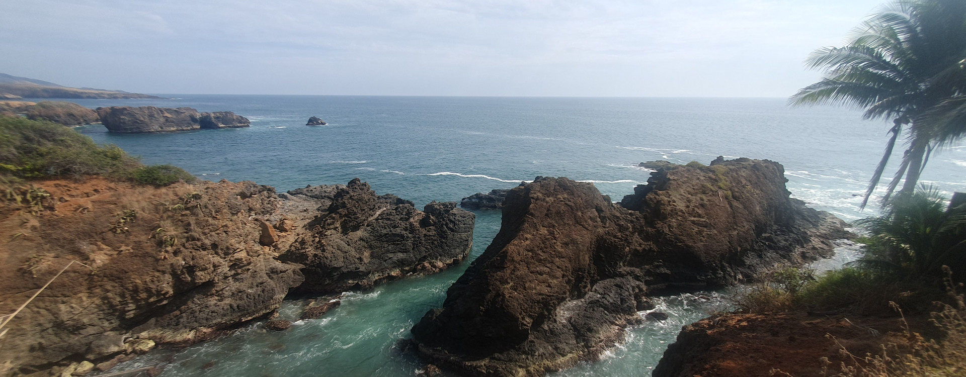 Mee mit Palmen und Gestein