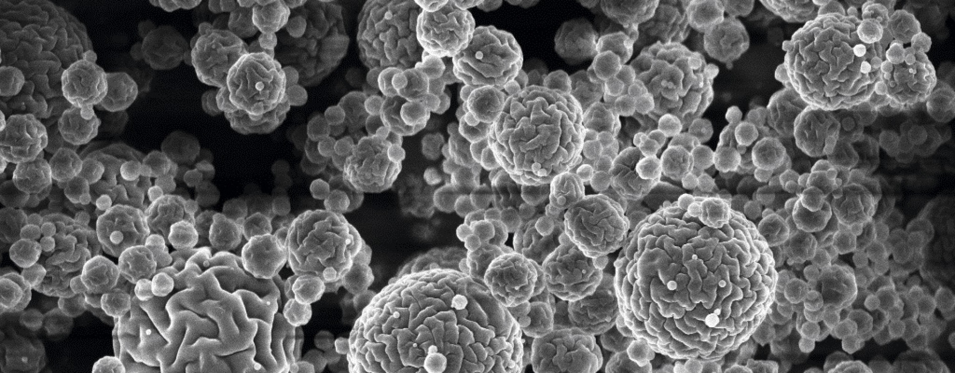 Drug-loaded particles Fraunhofer IGB Bio2Brain