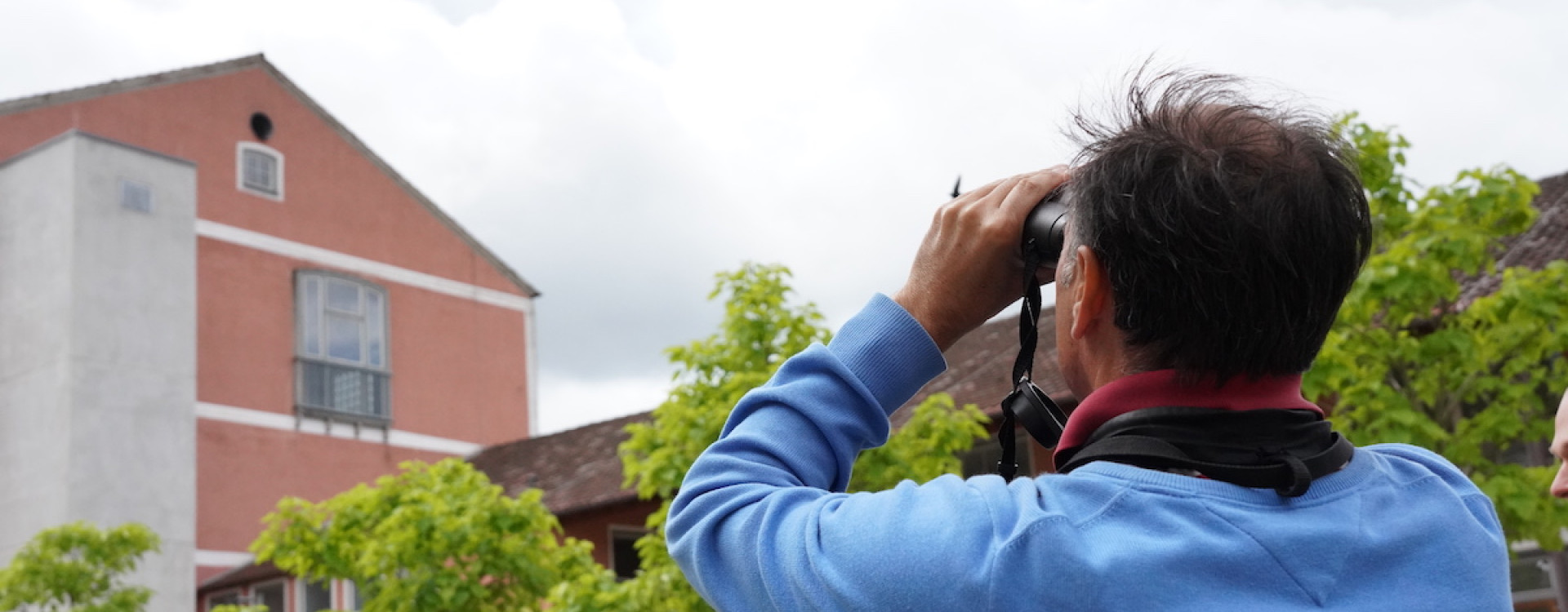 Vögel an der HBC - Luis Ramos