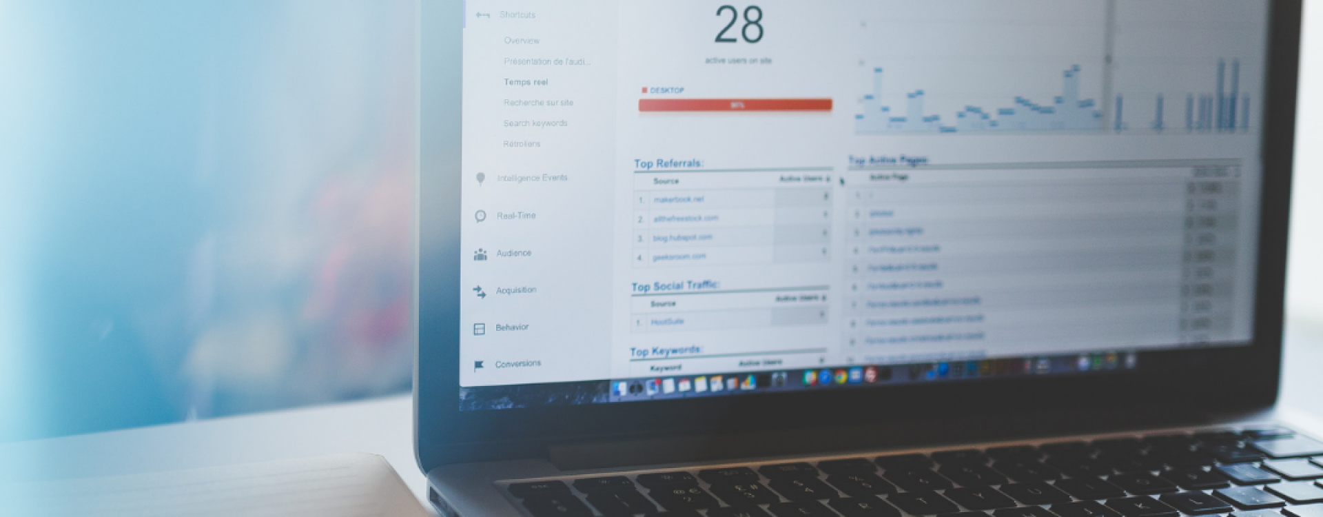Datenauswertung am Laptop