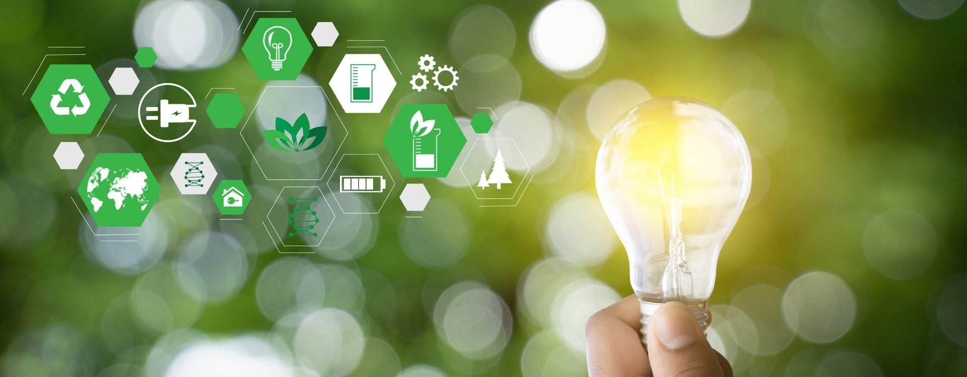 Eine Hand hält eine Glühbirne vor einem grünen Hintergrund, rechts davon sind mehrere kleine Icons rund um das Thema Energie und Nachhaltigkeit zu sehen