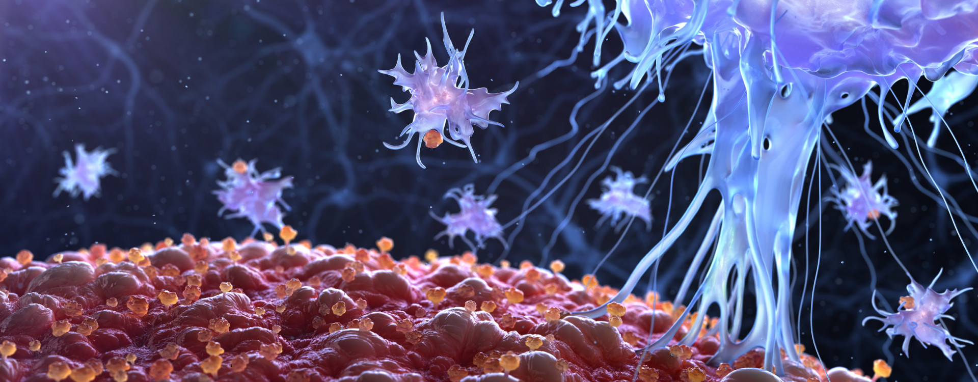 Immuntherapie Biotechnologie istock