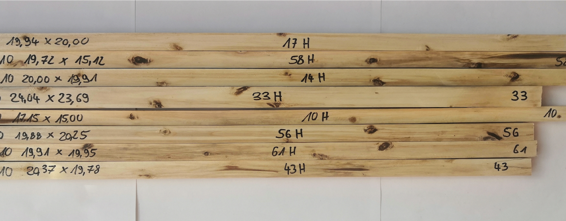 Pappeln aus Plantagen