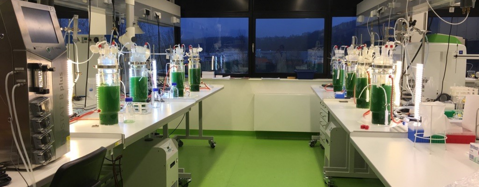 Sustainability Meets Innovation: Unlocking the Potential of Plant-Based Proteins