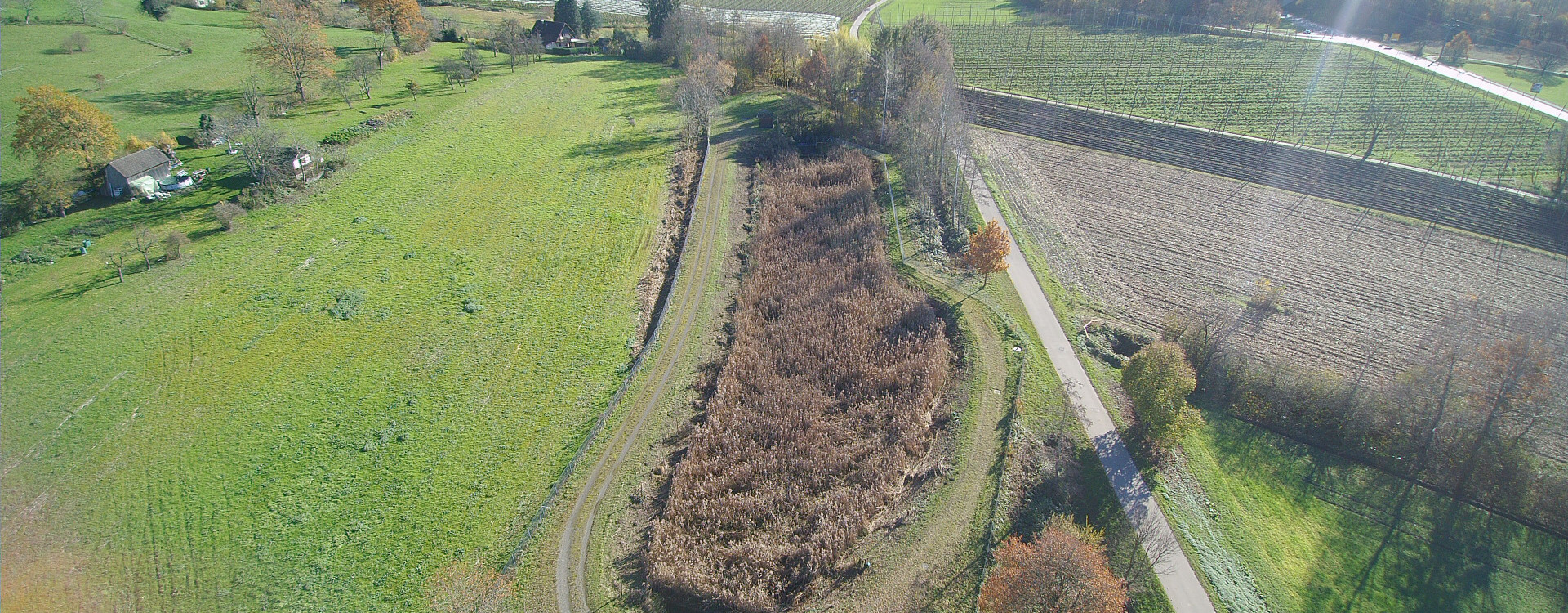 Drohnenaufnahme von grüner Landschaft