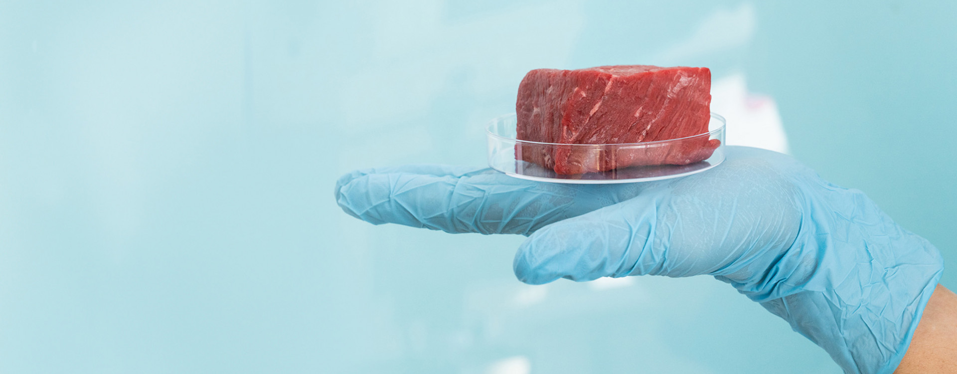 Fleisch aus dem Labor in einer Hand