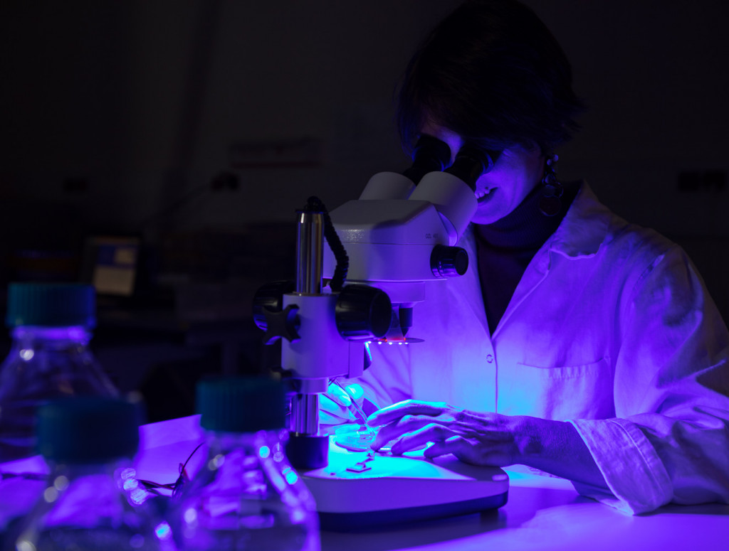 Bachelor Studium Pharmazeutische Biotechnologie