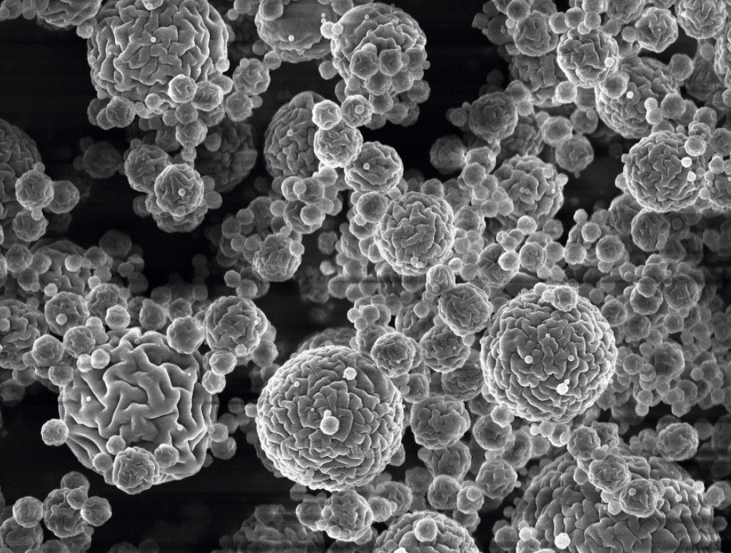 Drug-loaded particles Fraunhofer IGB Bio2Brain