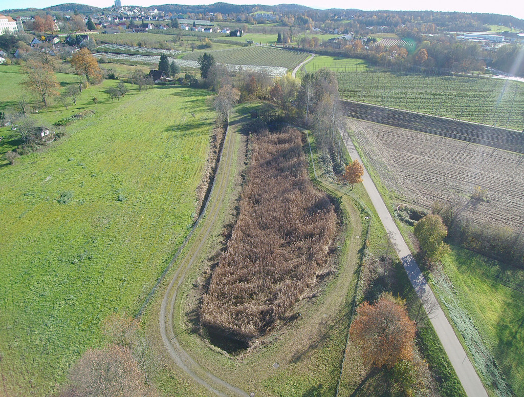 Drohnenaufnahme von grüner Landschaft