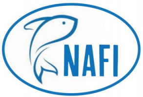 Logo Nafi
