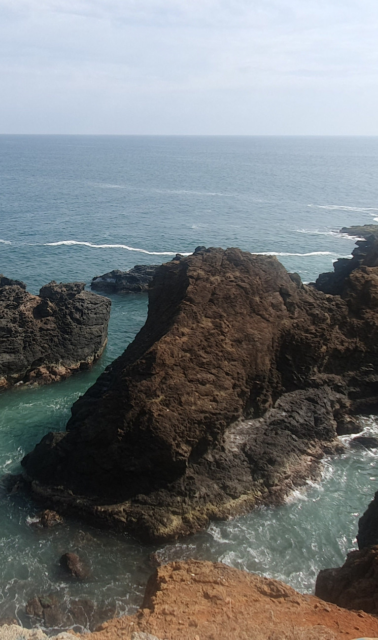 Mee mit Palmen und Gestein