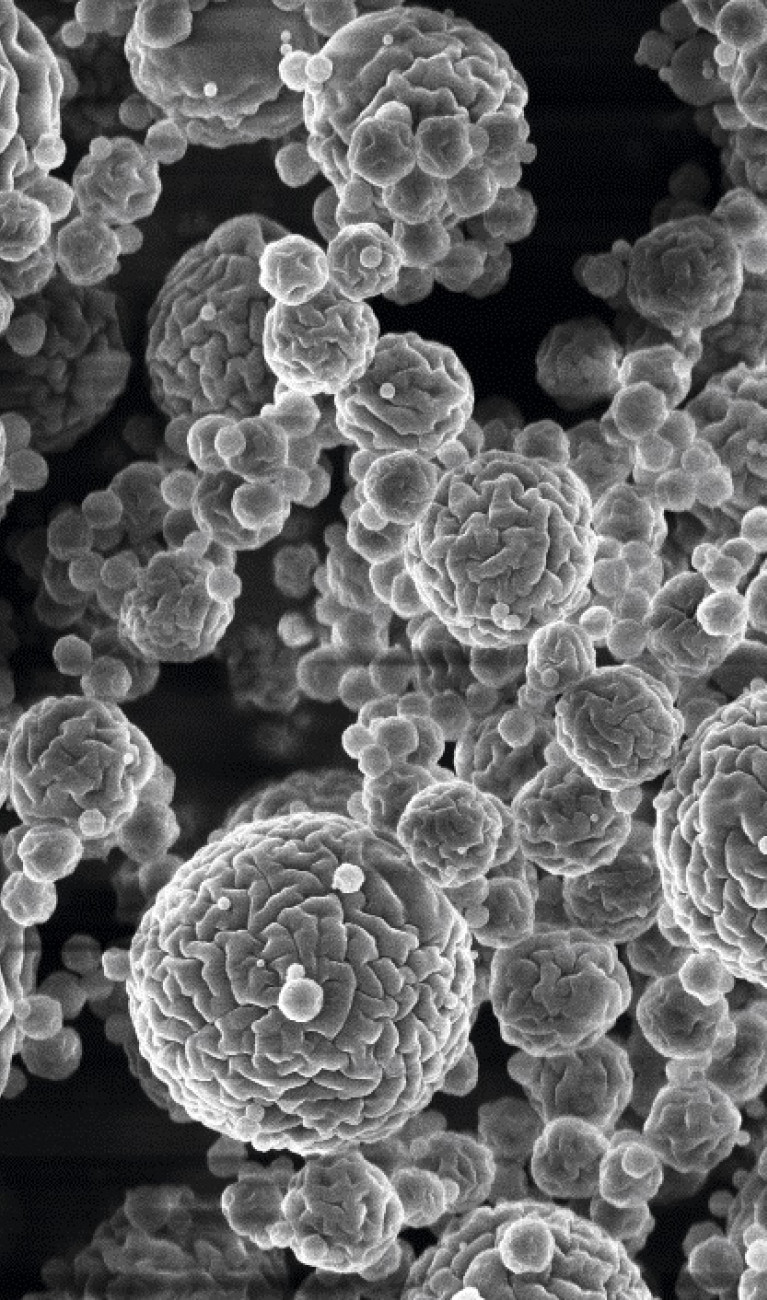 Drug-loaded particles Fraunhofer IGB Bio2Brain