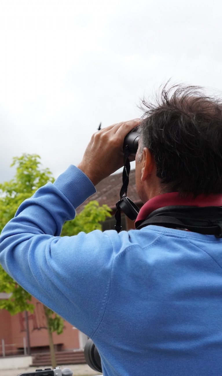 Vögel an der HBC - Luis Ramos