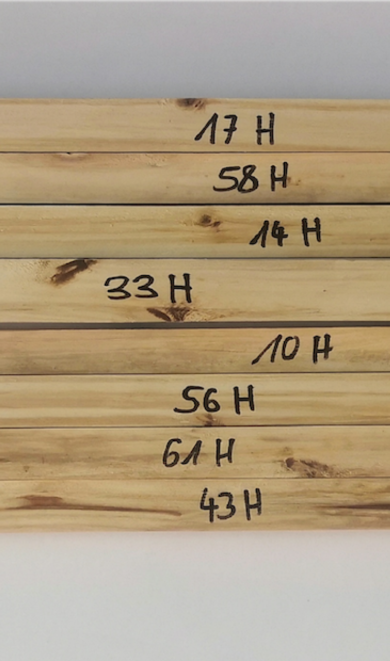 Pappeln aus Plantagen