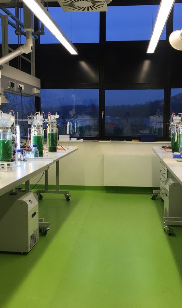 Sustainability Meets Innovation: Unlocking the Potential of Plant-Based Proteins