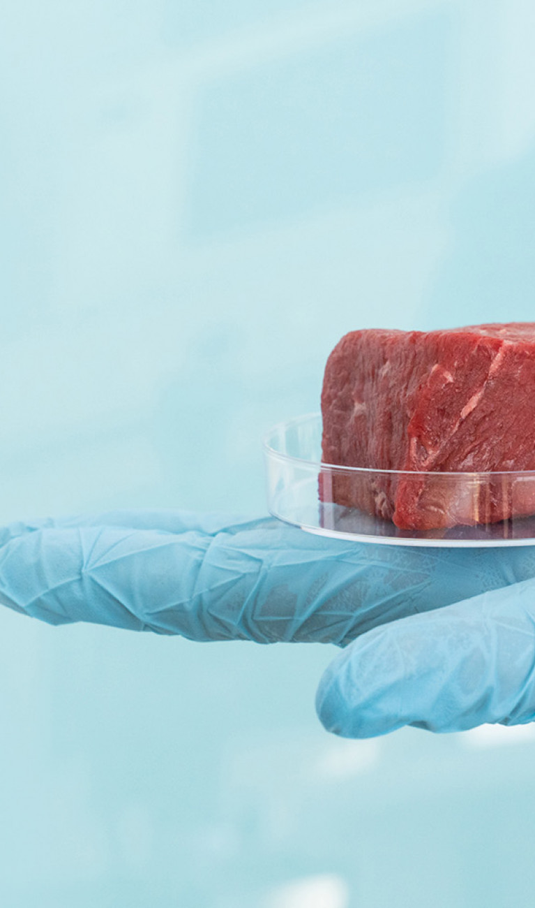 Fleisch aus dem Labor in einer Hand