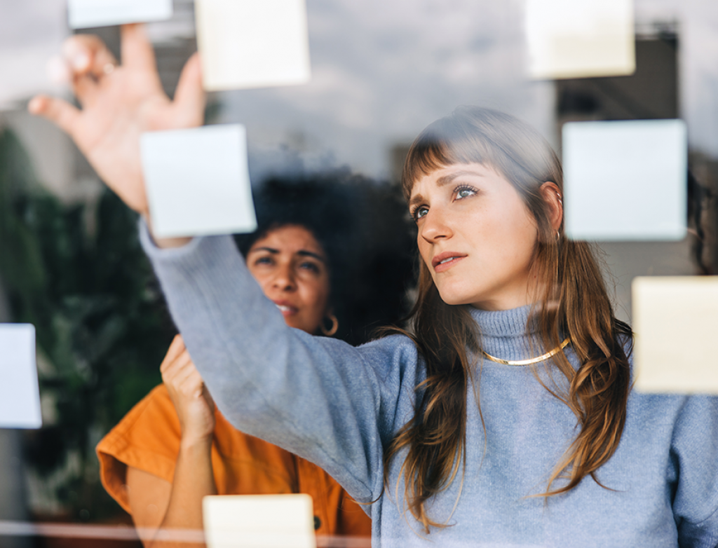 Bachelor- und Master-Studiengänge