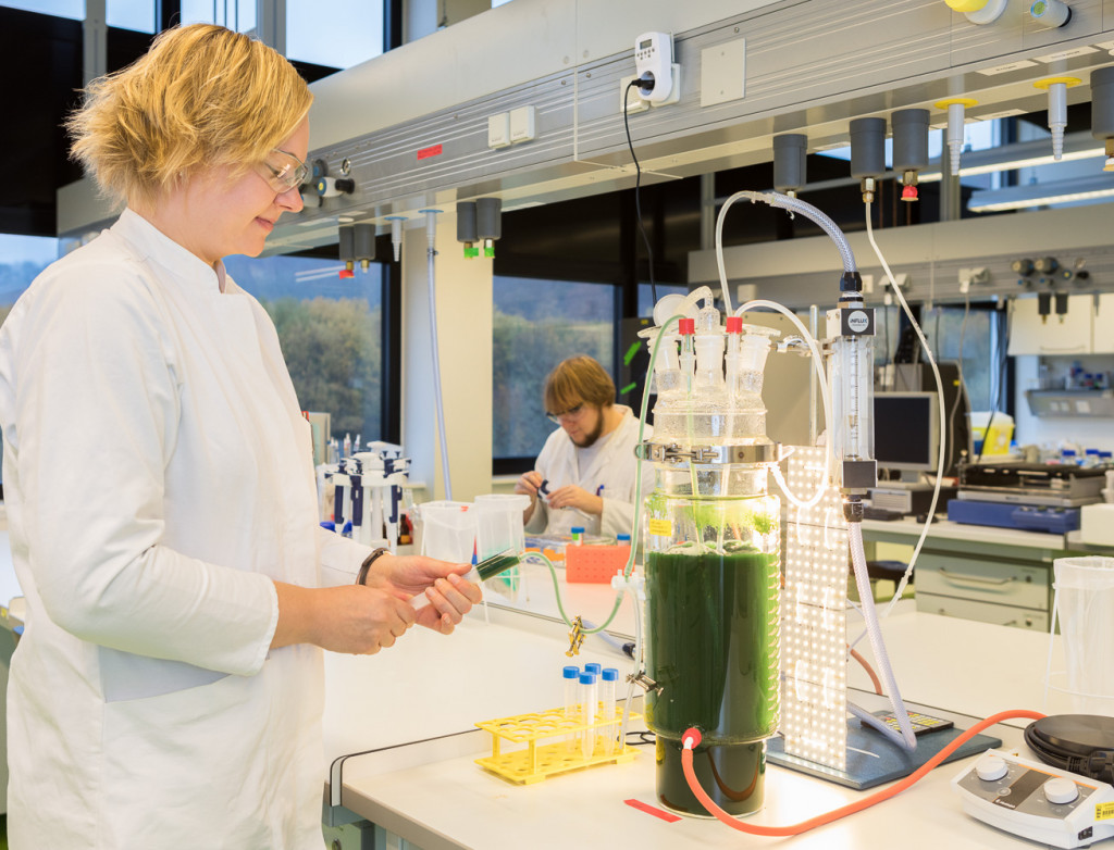 Bedienung eines Fermenters