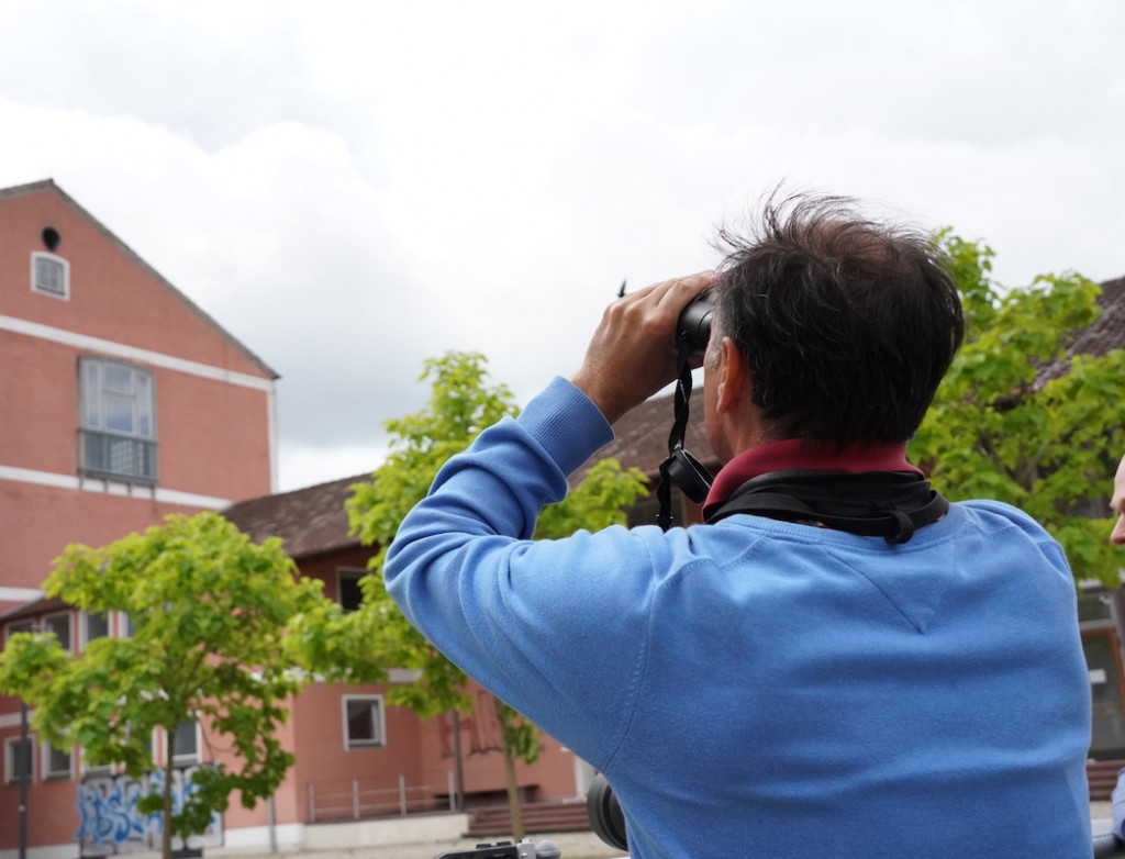 Vögel an der HBC - Luis Ramos