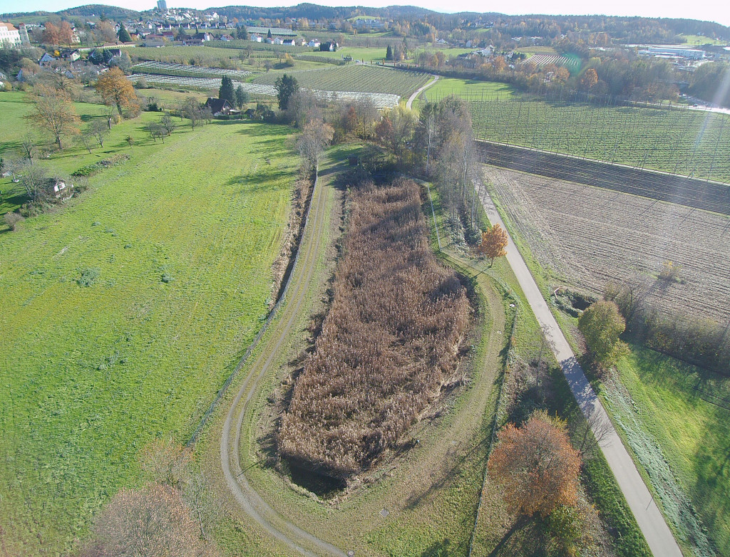 Drohnenaufnahme von grüner Landschaft